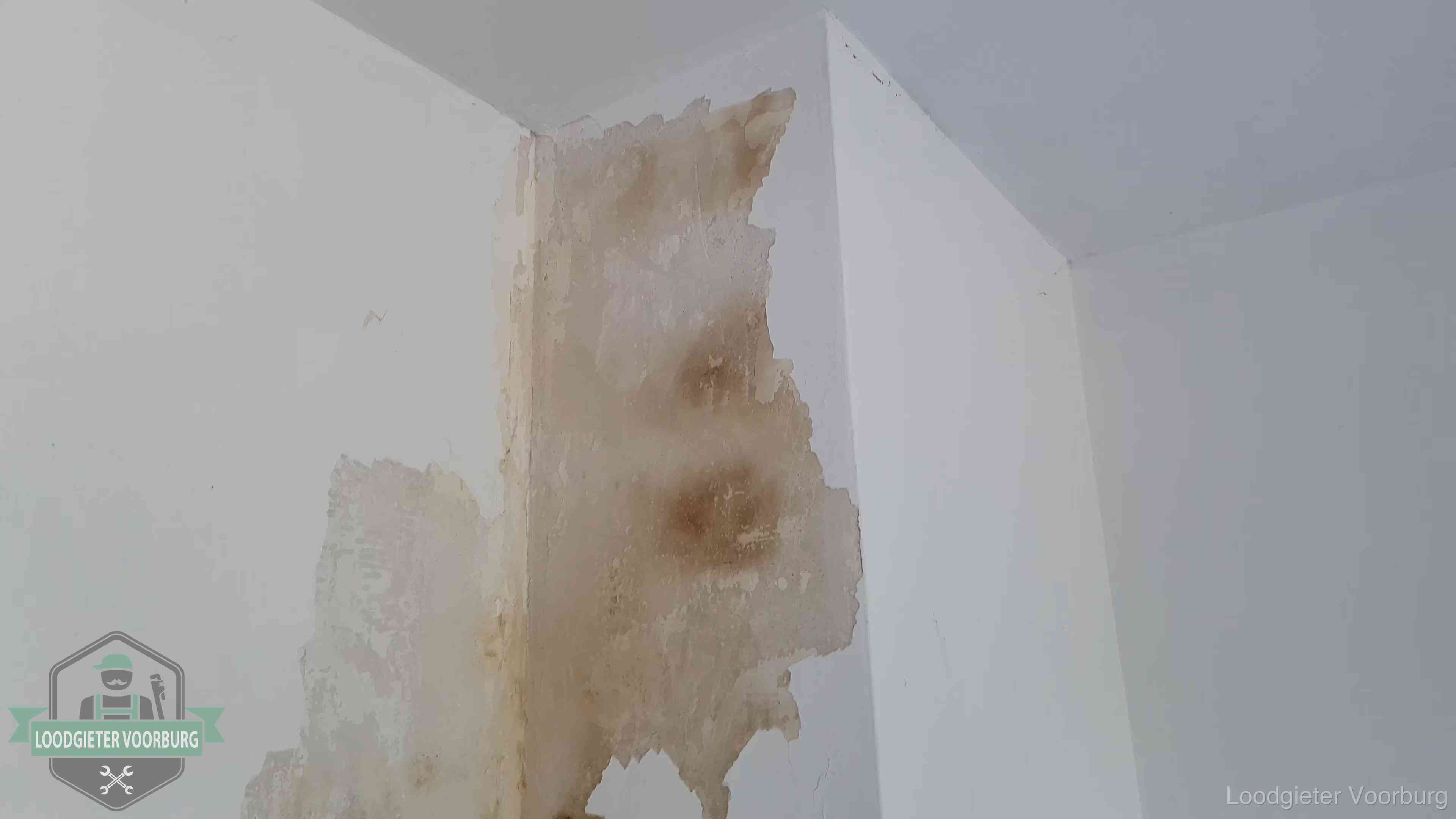 Daklekkage herkennen in Voorburg Bruine vochtkringen en afbladderend stucwerk op een binnenmuur in Voorburg, een eerste teken van daklekkage