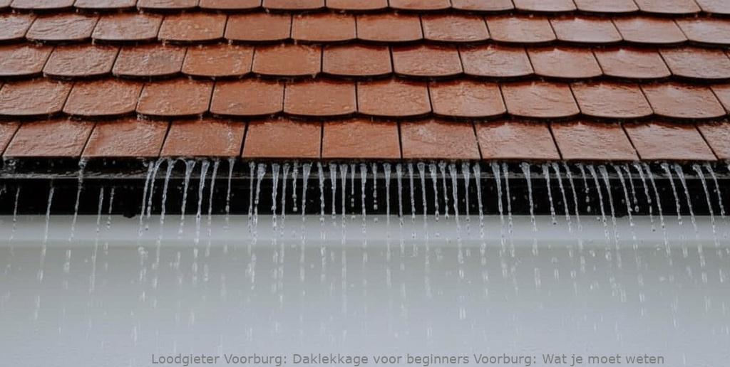 Daklekkage voor beginners Voorburg: Wat je moet weten
