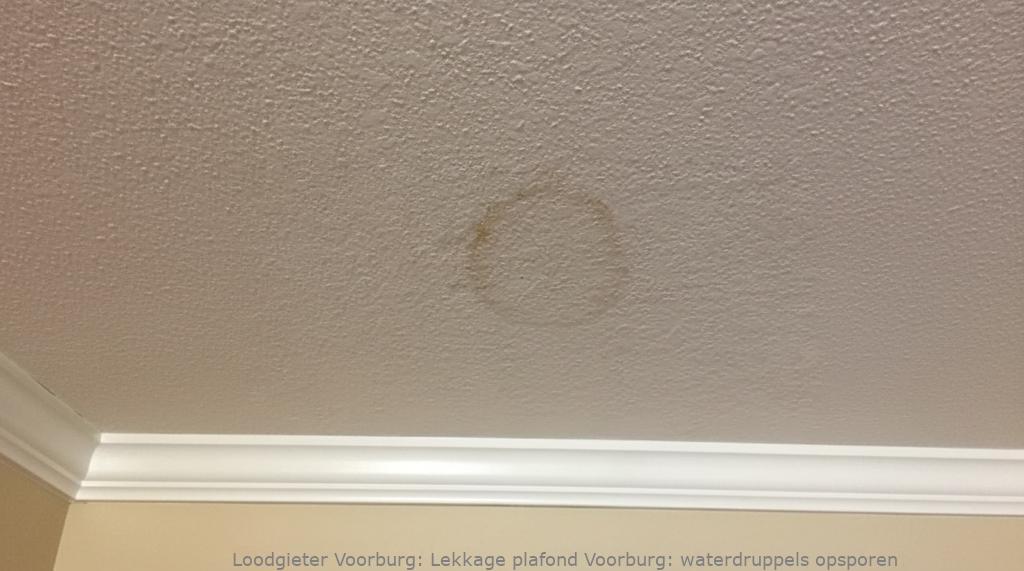 Lekkage plafond Voorburg: waterdruppels opsporen