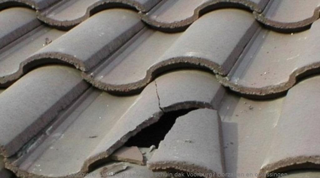 Lekkage schuin dak Voorburg: Oorzaken en oplossingen