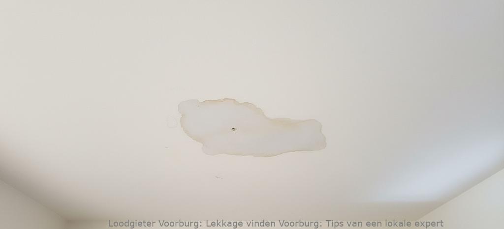 Lekkage vinden Voorburg: Tips van een lokale expert