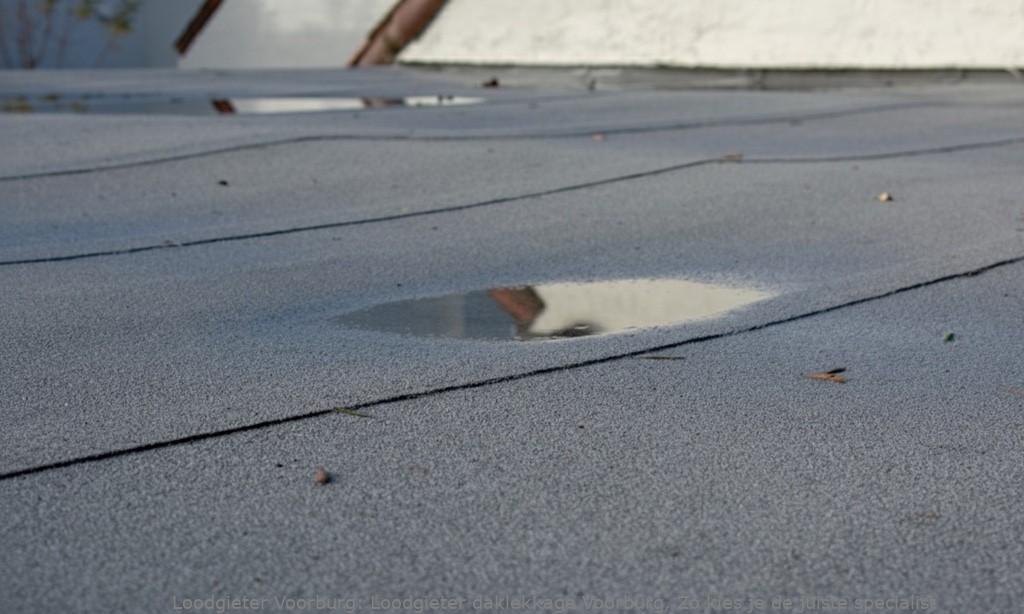 Loodgieter daklekkage Voorburg, Zo kies je de juiste specialist