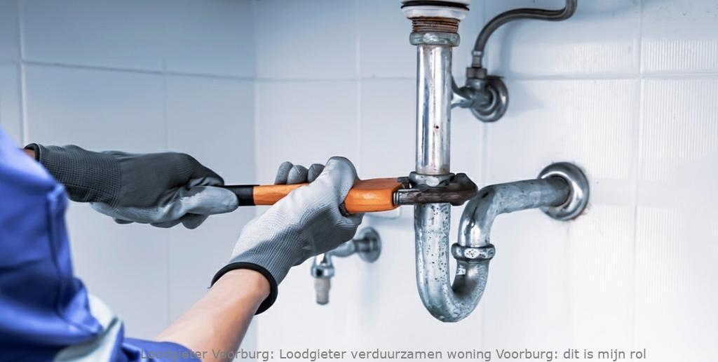 Loodgieter verduurzamen woning Voorburg: dit is mijn rol