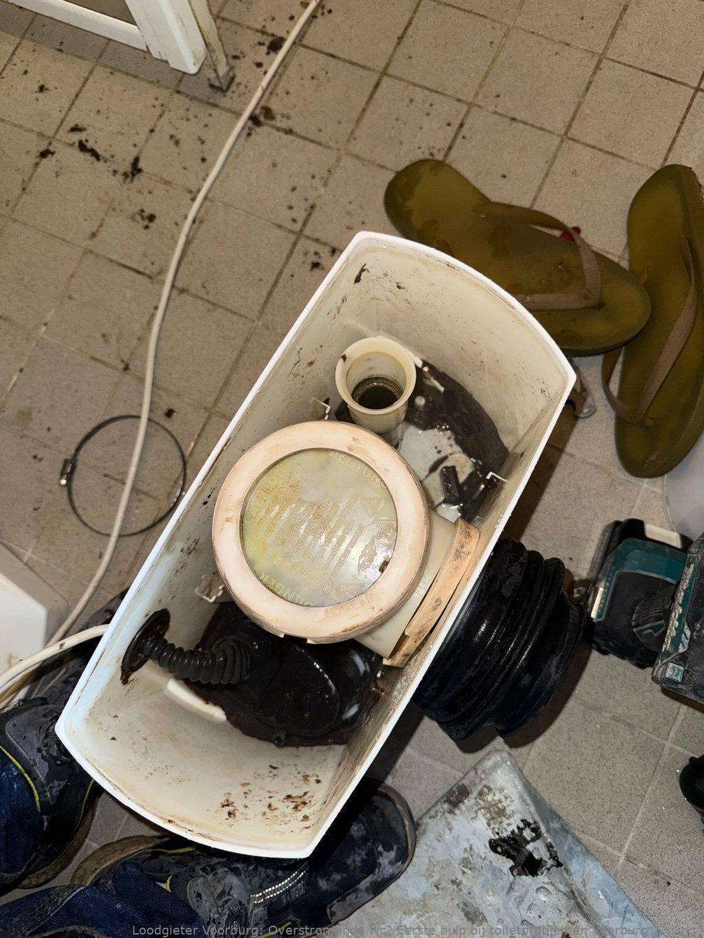 Overstromende wc? Eerste hulp bij toiletproblemen Voorburg