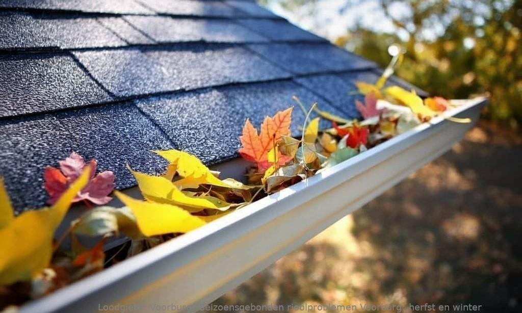 Seizoensgebonden rioolproblemen Voorburg: herfst en winter